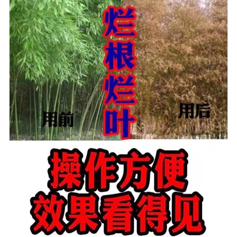 强力去竹粉清竹根竹子专用大竹杂竹荒草灌木彻底干净浓度高见效快 - 图2