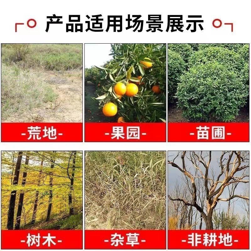 灭树粉烂根剂树烂根王除树根药剂烂根粉强力除树剂树枯死专用药-图3