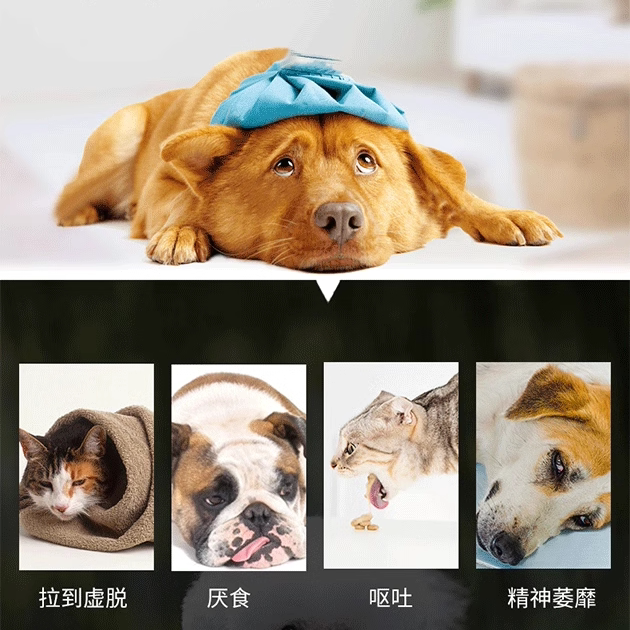 保灵强力止泻片宠物碱式碳酸铋片狗猫拉肚子药腹泻拉稀肠炎保必亭