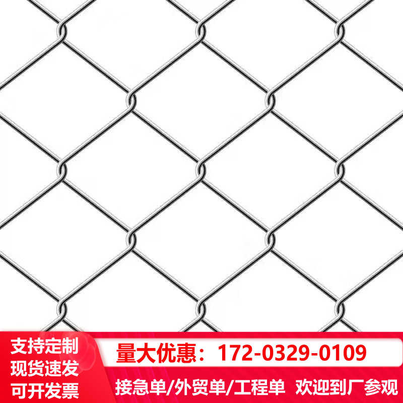 镀锌钢丝网防锈铁网格网养殖铁丝网加粗果园加厚围栏网菱形勾花网 - 图3