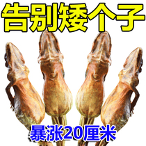 Short Gospel) Heightened Sticker contributes to Child Teenage Dwarf puppets have a fueling Heightened Gods LJ