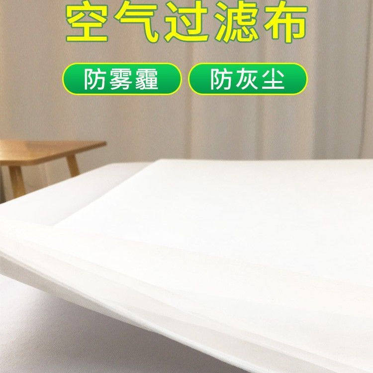 Screen dust filter, window pollen and catkin removal