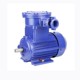 Dust explosion-proof BT4 explosion-proof motor Explosion-proof motor Vertical motor YBX3-80M1-2/0.75KW