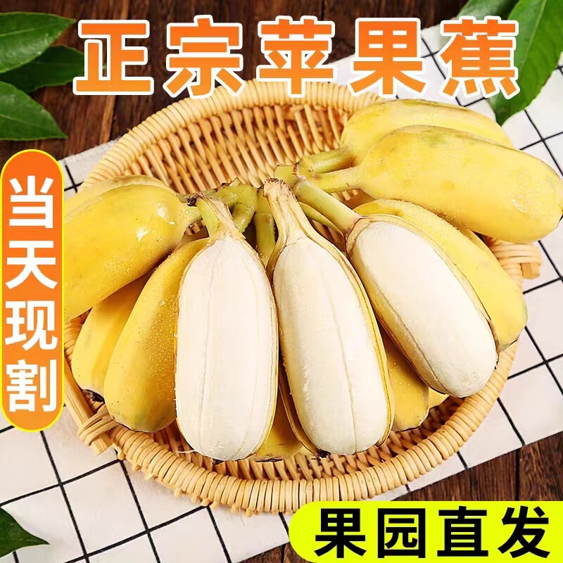 正宗海南苹果蕉新鲜皇帝米蕉粉糯香甜薄香蕉芭蕉高山苹果蕉非顺丰