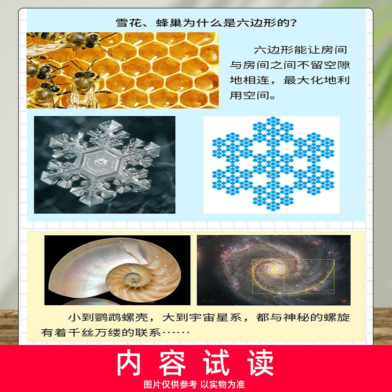 哈博士兴趣数学3-6年级杂志【2024半年/全年订阅】2023年1-12月小学高年级学习辅导期刊书籍-图1