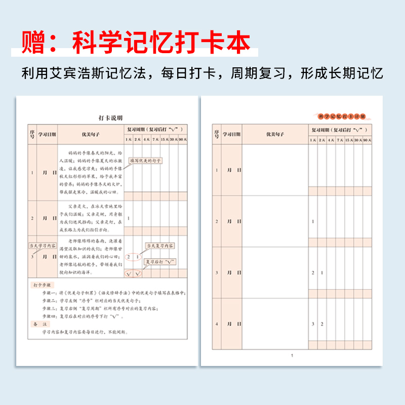 全套3册 优美句子积累大全 小学语文修辞手法 科学记忆打卡计划手册 小学生一年级二年级三四五六年级上册 好词好句好段句式写作 - 图3