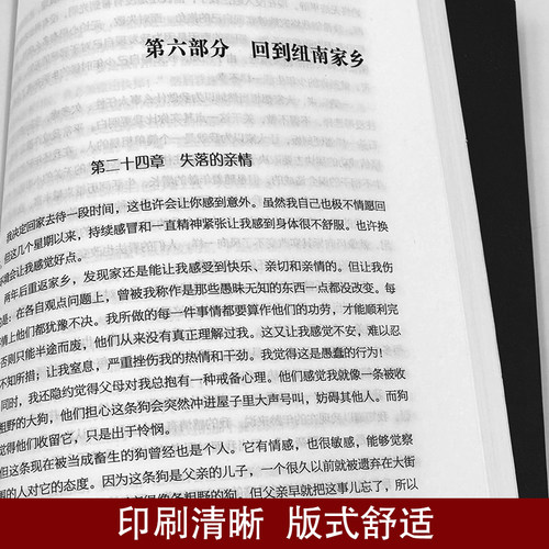 孤独与疯狂梵高传正版 历史人物名人传记书籍 荷兰后印象派画家梵高的一生 讲述梵高人物传记书 初中高中学生青少年课外阅读书籍 - 图2