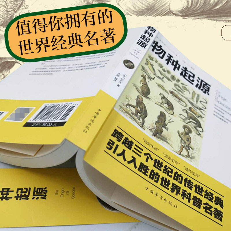 物种起源 正版达尔文进化论著作物竞天择适者生存人类的故事人类的由来初高中成人版世界名著科普知识读物排行榜畅销书籍 - 图0