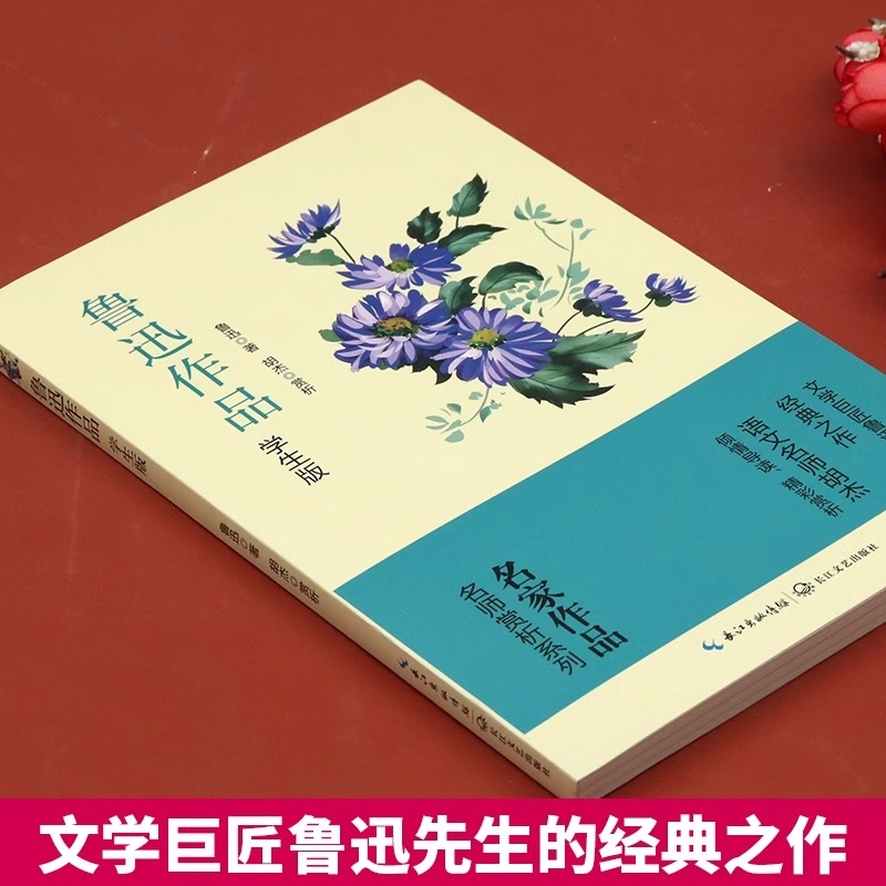 鲁迅经典作品全集正版小说药杂文集文集散文集适合初中生小学生阅读的课外书籍必读原著故乡从百草园到三味书屋阿长与山海经孔乙己-图0