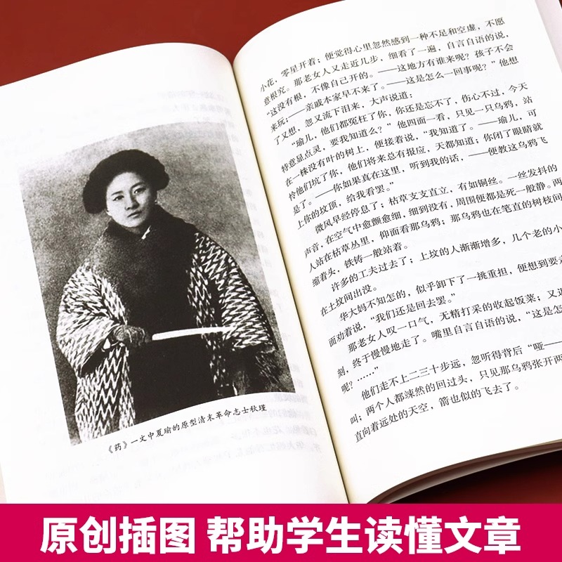 鲁迅经典作品全集正版小说药杂文集文集散文集适合初中生小学生阅读的课外书籍必读原著故乡从百草园到三味书屋阿长与山海经孔乙己-图2