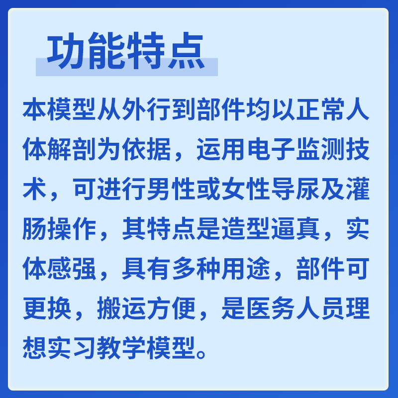 电子导尿及灌肠教学实习模型男女导尿培训模具电子指示灯提示 - 图0