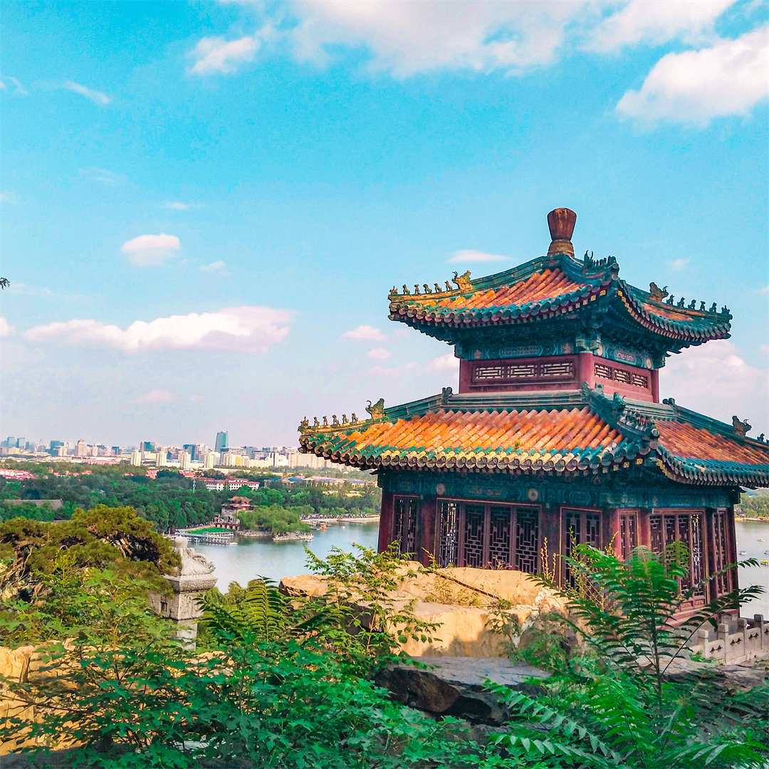 图 2
