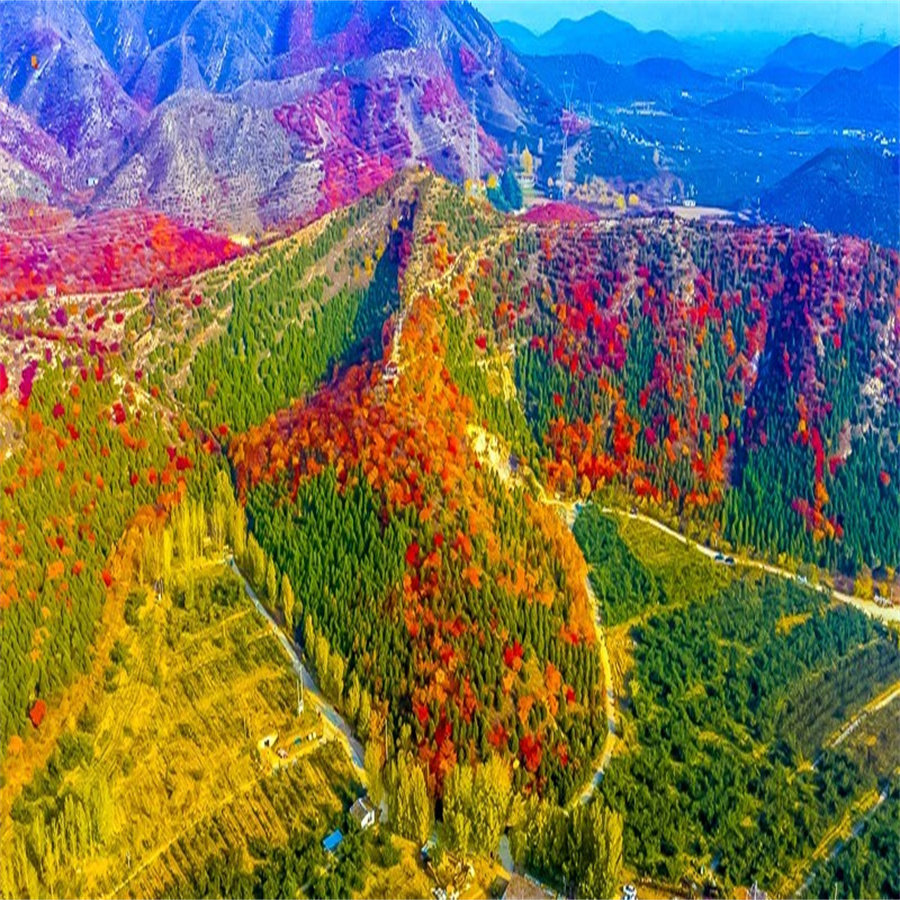 图 2