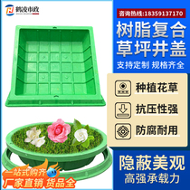 Lawn Well Square Round Plant Well Cover Lawn Well Greening SMC Grass Basin Well Invisible Decoration Planting Manhole Cover