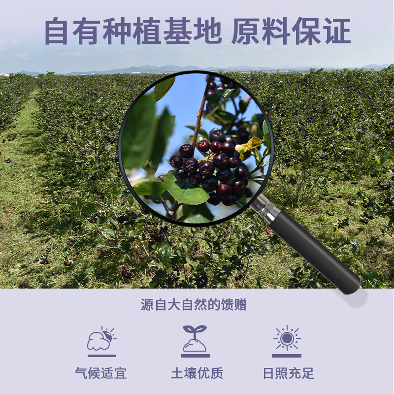 车尔西不老莓低度果酒自然发酵微醺女士果酒果酒礼盒晚安酒伴手礼