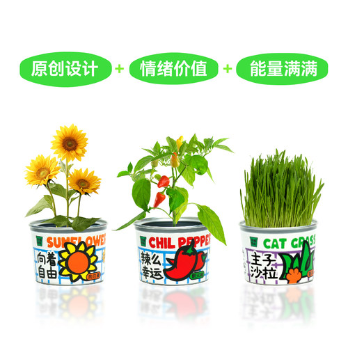 作物生长种植罐头2.0升级版盆栽套装桌面绿植物情绪价值创意礼物 - 图2