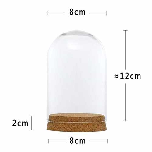 *Clear Glass Display Dome Cover Cloche Bell Jar Succulent Te - 图3