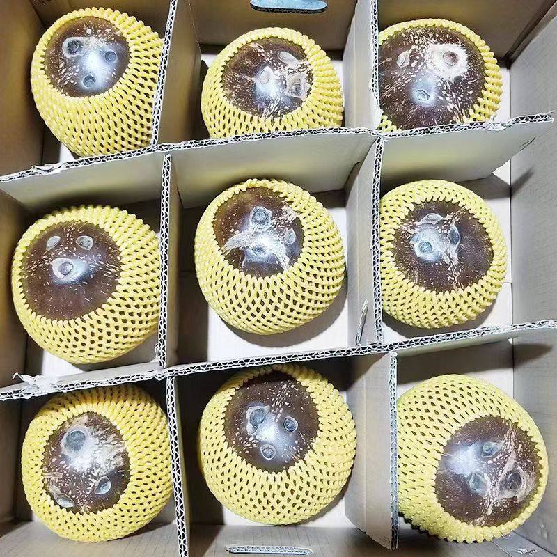 海南牛奶黑椰皇冻椰子小椰皇水耶子当季水果产地直发老椰子肉椰汁,淘宝优惠券,粉丝福利购,淘宝优惠卷