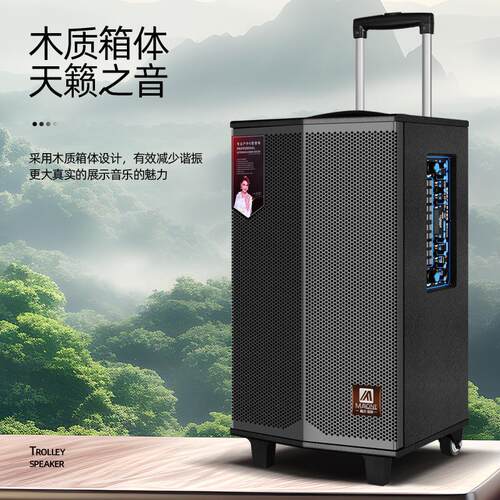 曼龙户外音响专业k歌带无线话筒蓝牙直播声卡移动拉杆广场舞音箱 - 图0