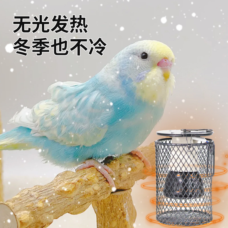 鹦鹉雏鸟保温灯过冬神器小鸟用取暖器保温无光陶瓷加热加温取暖灯,淘宝优惠券,粉丝福利购,淘宝优惠卷