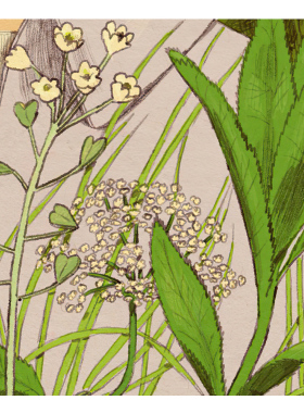 【特惠捡漏】插画师Karlotta Freier漫画 复刻艺术版画装饰画芯