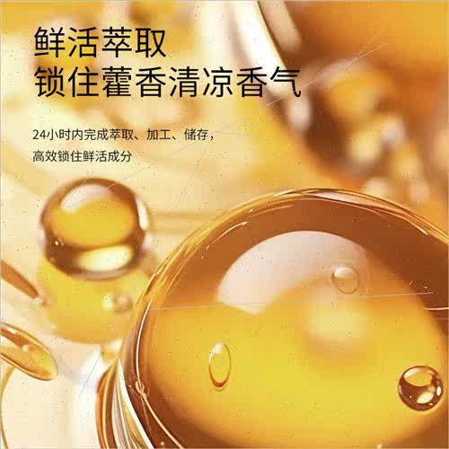 Patchouli Patchouli ngle Essential Oil Plant to remove summe - 图1