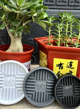吉象如意花盆托盘树脂塑料花托盘