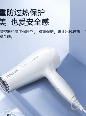 飞科大风力大功率爆款护发电吹风
