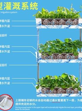 欧林泽阳台种菜盆多层种植蔬菜专用花盆顶楼草莓花盆家庭种菜神器