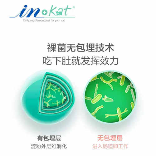 麦德氏 猫咪益生菌肠胃调理缓解呕吐腹泻便秘拉稀专用益生菌20g - 图2