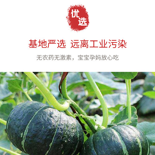 贝贝南瓜正宗山东新鲜5斤板栗味小南瓜栗面日本老瓜婴儿孕妇粉糯 - 图2