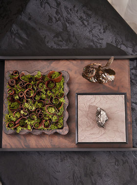 轻奢复古木纹托盘样板间