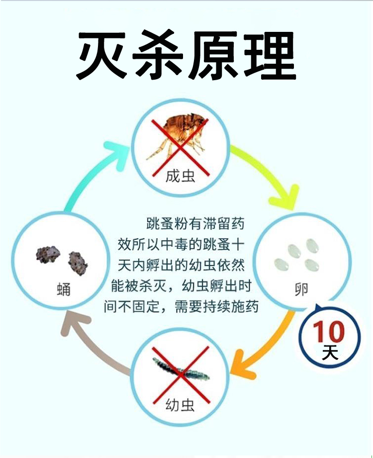 小狗狗去跳蚤药百虫灵杀虫粉灭床上跳蚤家用猫咪宠物除体外虱子xf-图2