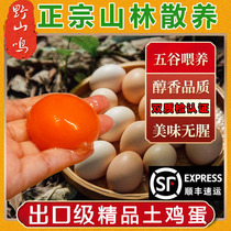 Fresh native eggs Zhengzong Rural family Lin Lower scattered and breadbasket Fed Grass Eggs Farmhouse Chai Eggs Dumb Eggs
