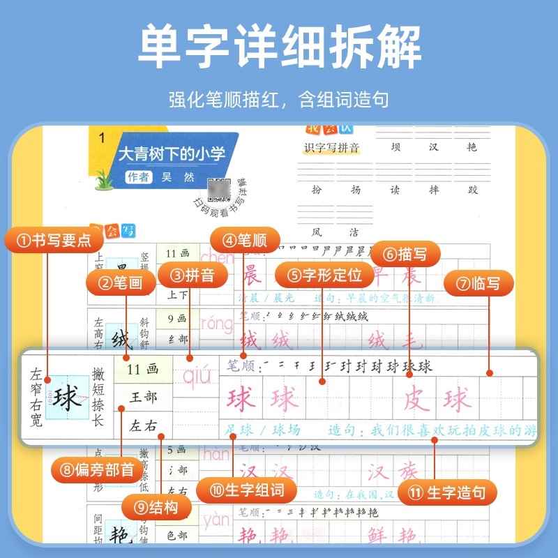 华夏万卷字帖 小学生同步写字课五年级上册字帖人教版小学生写字课课练五年级上册语文字帖5年级上写字课5年级上册同步