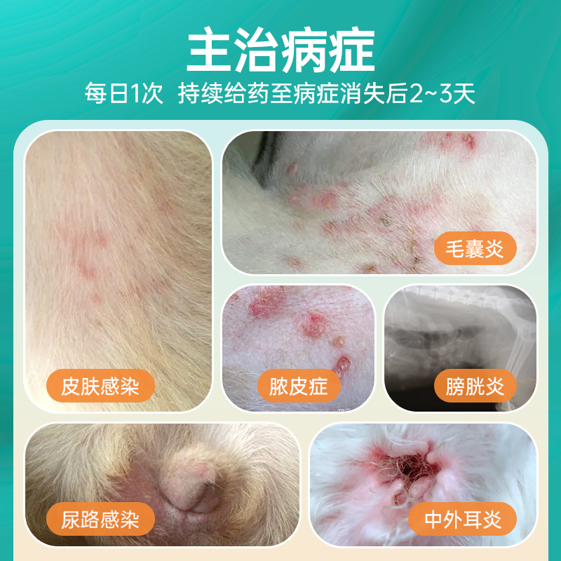 宠物维它猫咪用狗狗消炎药头孢羟氨苄片皮肤病感冒泌尿路感染兽用 - 图2