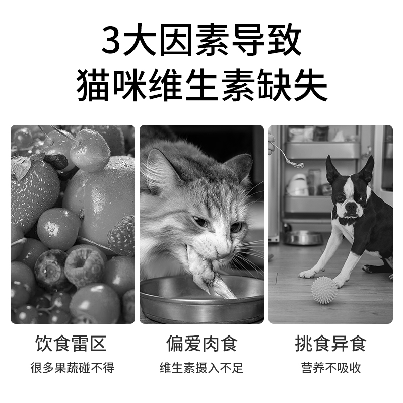 vetwish复合维生素B补充营养七合一防猫藓掉毛美毛猫犬通用 - 图0