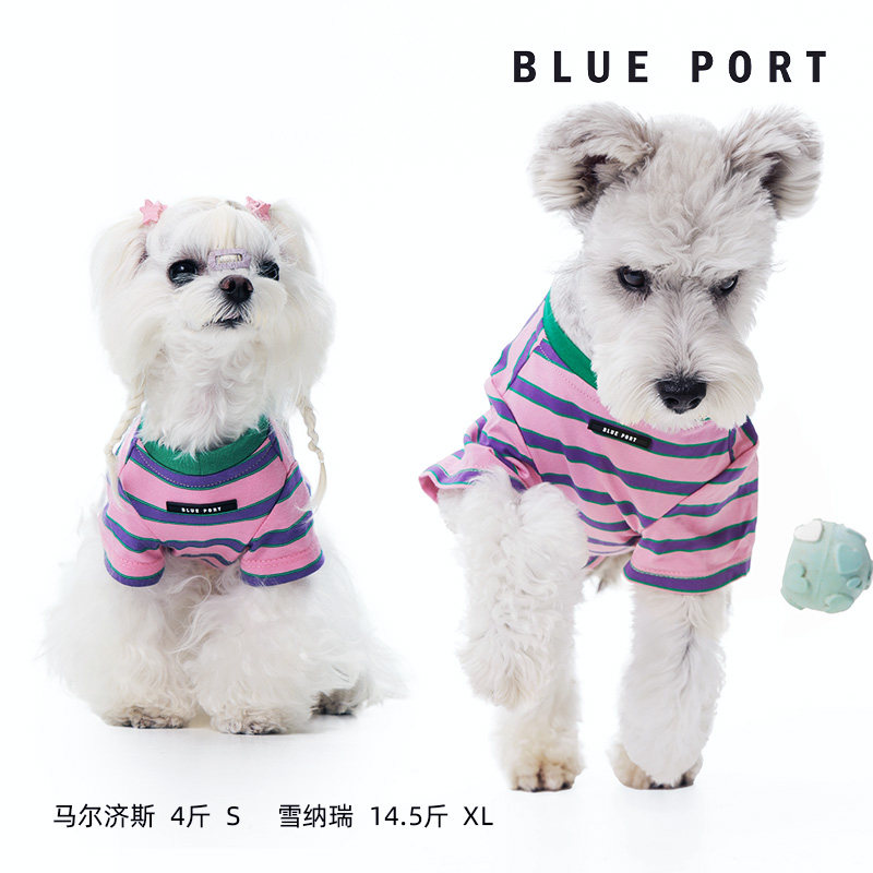 Blueport宠物衣服春夏彩色条纹T恤狗狗透气背心,淘宝优惠券,粉丝福利购,淘宝优惠卷