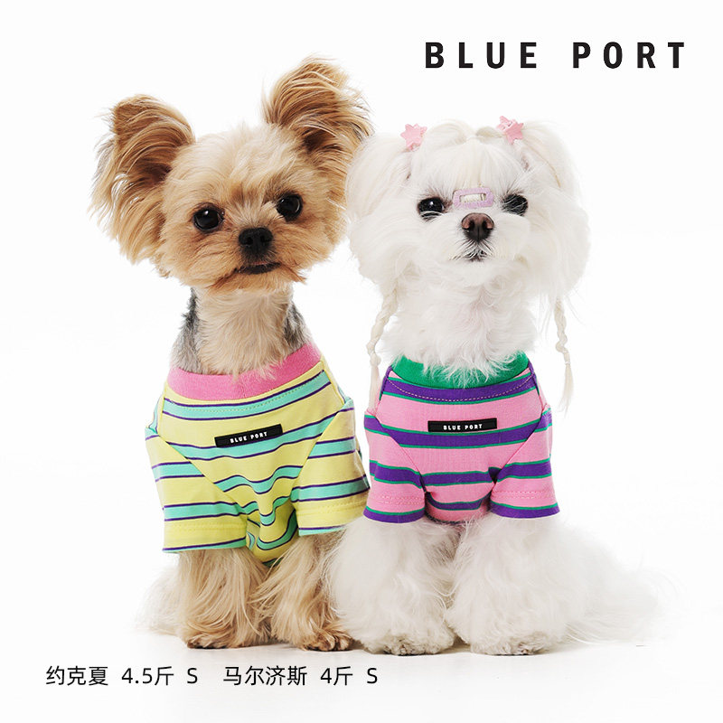 Blueport宠物衣服春夏彩色条纹T恤狗狗透气背心,淘宝优惠券,粉丝福利购,淘宝优惠卷