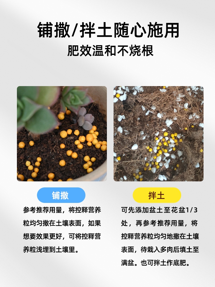 花草博士多肉专用控缓释肥家用盆栽花卉植物通用型氮磷钾营养肥料-图3