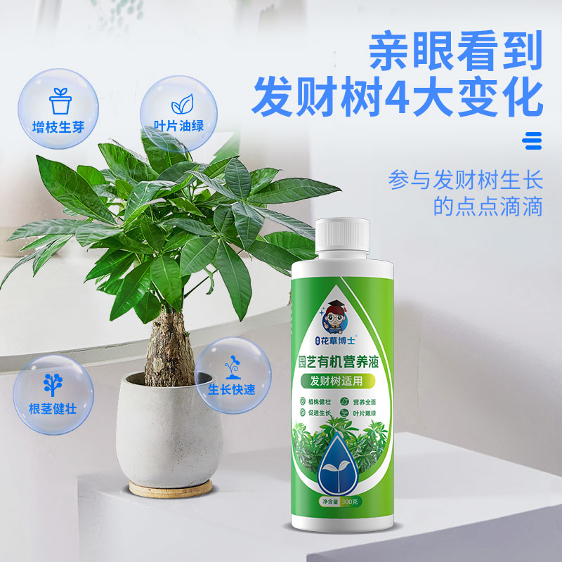 花草博士发财树专用营养液家用养花卉绿植水培通用型植物液体肥料 - 图1