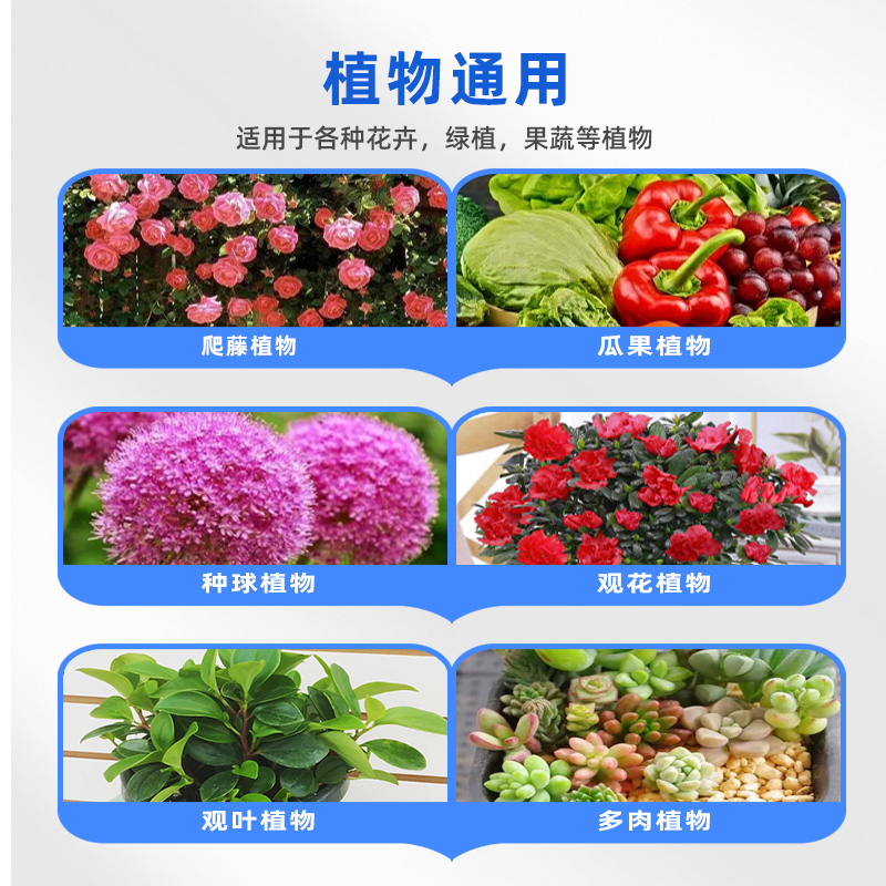 开花素植物通用三角梅催花促花高浓缩营养液冒花素爆花磷钾肥料