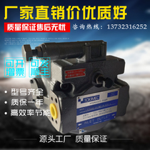 Tokyo scooters plunger pump P16V-RS-11-CM-10-J oil pump P21VMR-10-CMC-20-S121B-J