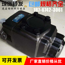 Supply of Denison denison Twin Blade Pump T6ED-057-035-1R00-B1 Hydraulic Punch Accessories