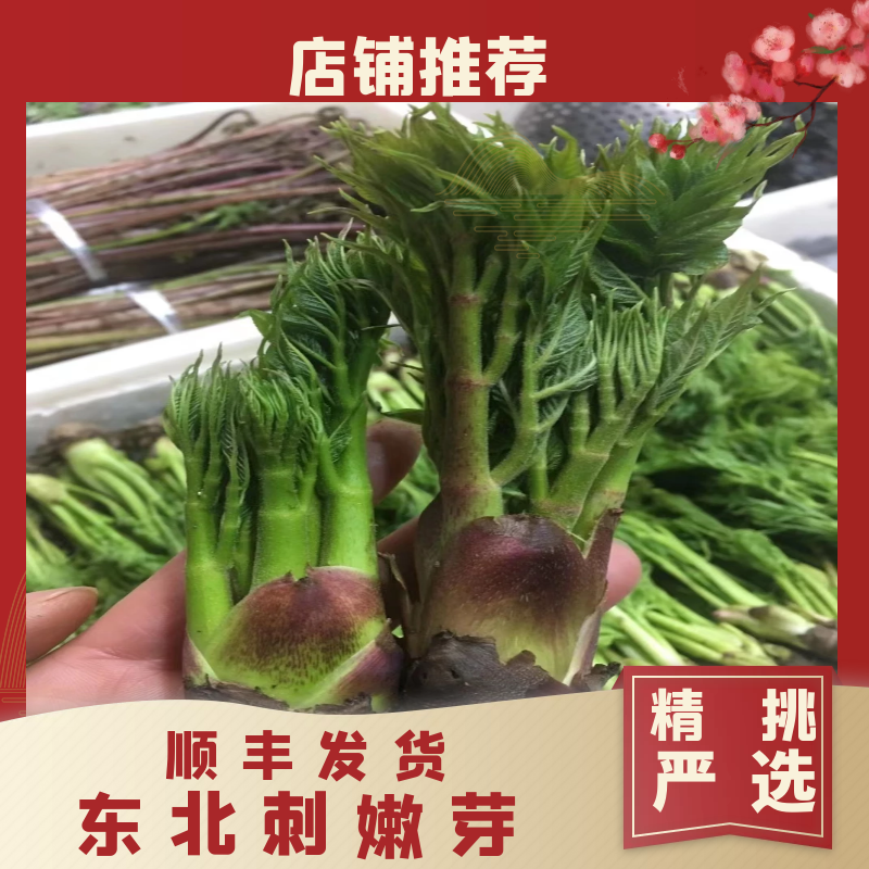 【顺丰快递】东北辽宁新鲜野菜刺嫩芽刺龙芽一份三斤装 - 图0