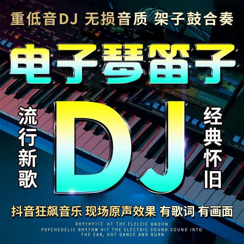 纯音乐车载u盘电子琴迪音架子鼓dj合奏曲抖音同款重低音伴奏优盘 - 图0