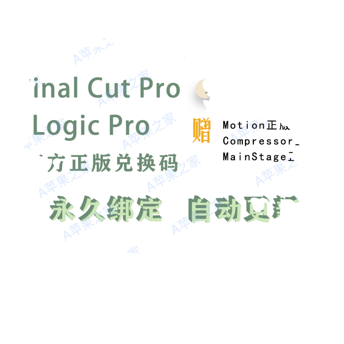 Final Cut Pro正版兑换Logic Pro专业视频音频剪辑制作M1M2M3fcpx - 图2