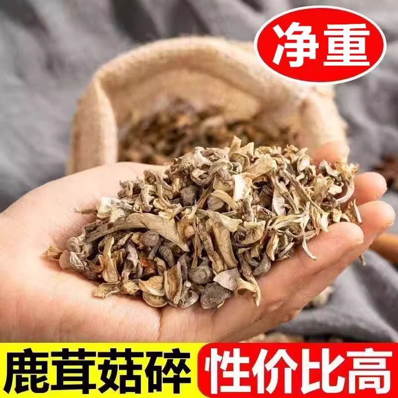 鹿茸菇碎干货鹿茸菌500g脆脆菇菌古田鹿茸菇脆脆菇菌片无硫菌煲汤