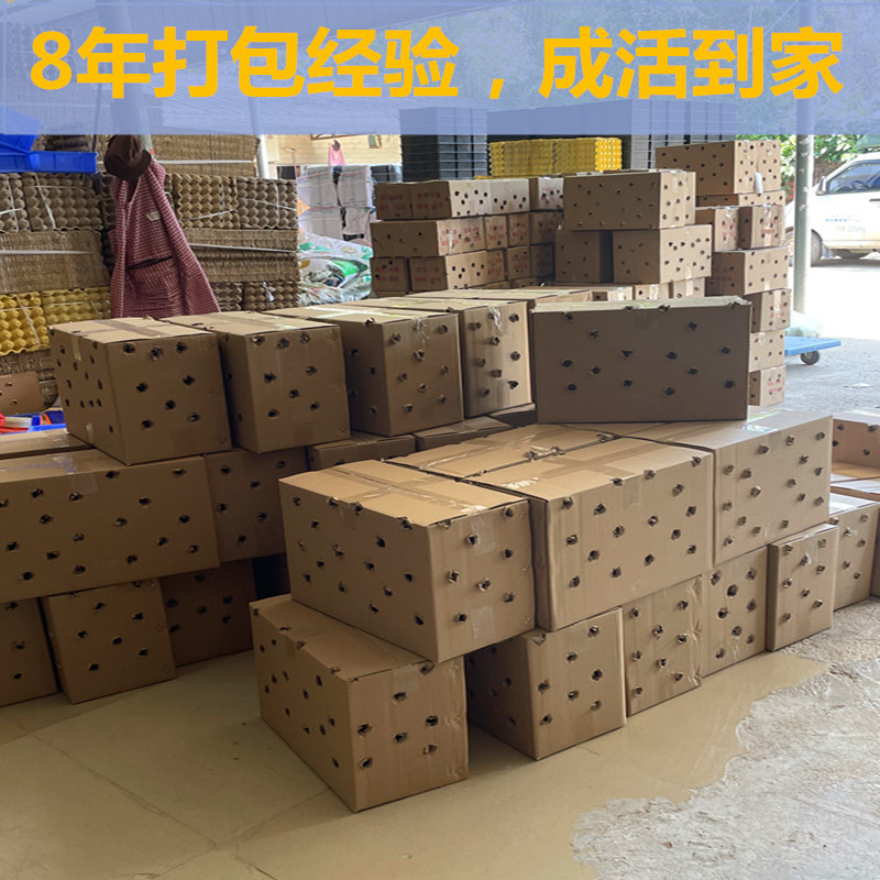商品详情图片