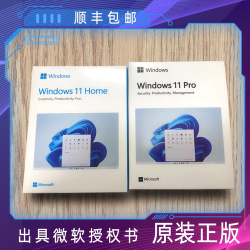 正版Win10专业版Windows11pro家庭系统U盘64位多国语言繁中英彩包-图1